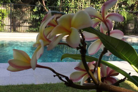 Arabella Garden Inn Motel - Accommodation Fremantle 2