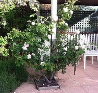 Ellesmere House - Accommodation Fremantle