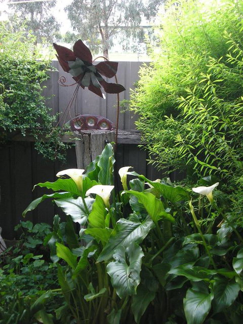C & As Cottage - Accommodation Fremantle 2
