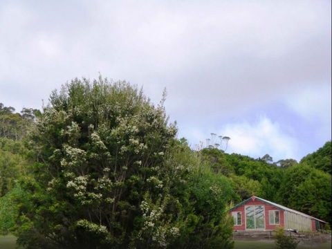 Rocky Glen Retreat King Island - Accommodation Fremantle 6