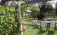 Wyreepi Caribbean Chalet - thumb 2