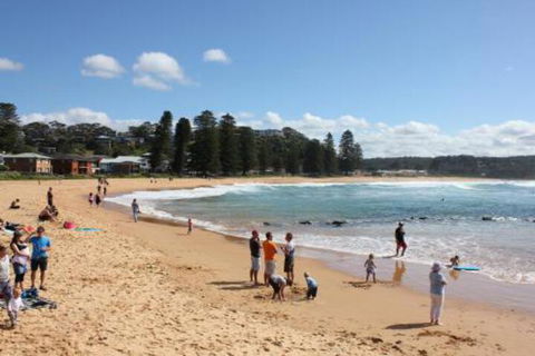 Avoca Beach Cape Cottage - Accommodation Fremantle 0