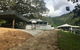 Ingleside Stud Farm - thumb 0