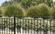 Newtown Mews - thumb 3