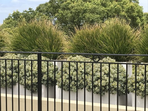 Newtown Mews - Accommodation Fremantle 3