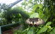 Batchelor Butterfly Farm - thumb 5