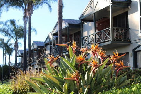 Renmark Hotel Motel - Accommodation Fremantle 1