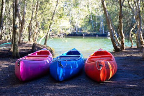 Jervis Bay Cabins & Hidden Creek Campsite - Accommodation Fremantle 0