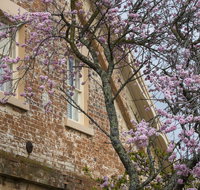 The Racecourse Inn - Accommodation Fremantle