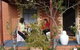 Albury Cottages - thumb 6