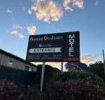Asters on James Motor Inn