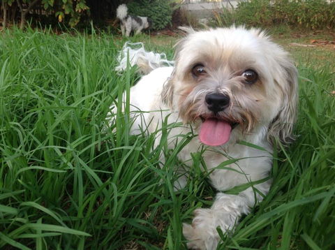 A Country Barn Retreat - Accommodation Fremantle 3