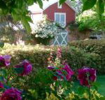 A Country Barn Retreat - Accommodation Fremantle