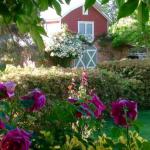 A Country Barn Retreat - Accommodation Fremantle 0