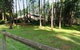 Fernglade On Menzies - thumb 0