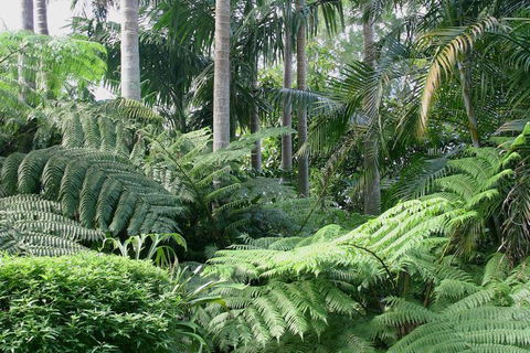 Amore Mt Tamborine - Accommodation Fremantle 1