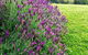 Heggys Cottage - thumb 1