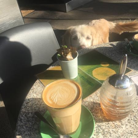 Espresso Koo - Accommodation Fremantle 0