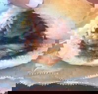 Avenel Cafe - Accommodation Fremantle