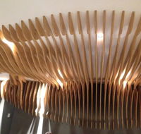 Gungnam Spoon - Accommodation Fremantle