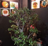 Wagyu Factory Korean BBQ Restaurant - Accommodation Fremantle