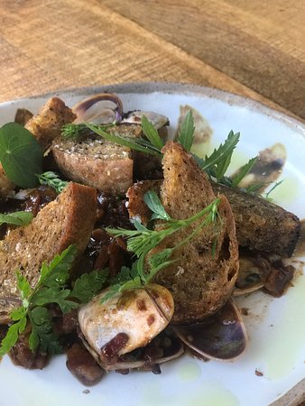 Yamba NSW Accommodation Fremantle