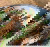 Karrikin - Accommodation Fremantle