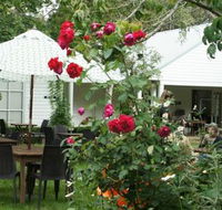 Sturt Coffee - Accommodation Fremantle