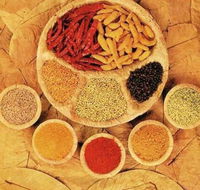 Tehzeeb Indian and Australian Restaurant - Accommodation Fremantle