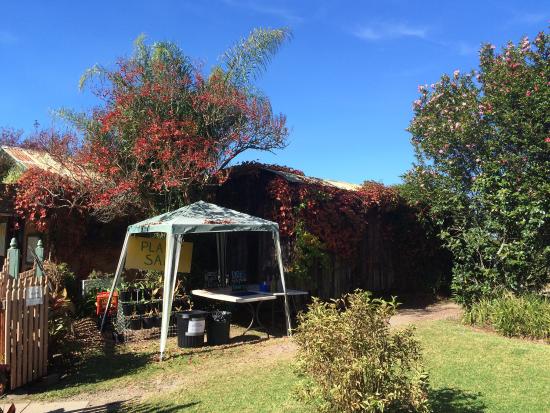 Bilpin NSW Accommodation Fremantle