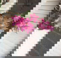 Tingha Sports  Recreation Club - Accommodation Fremantle