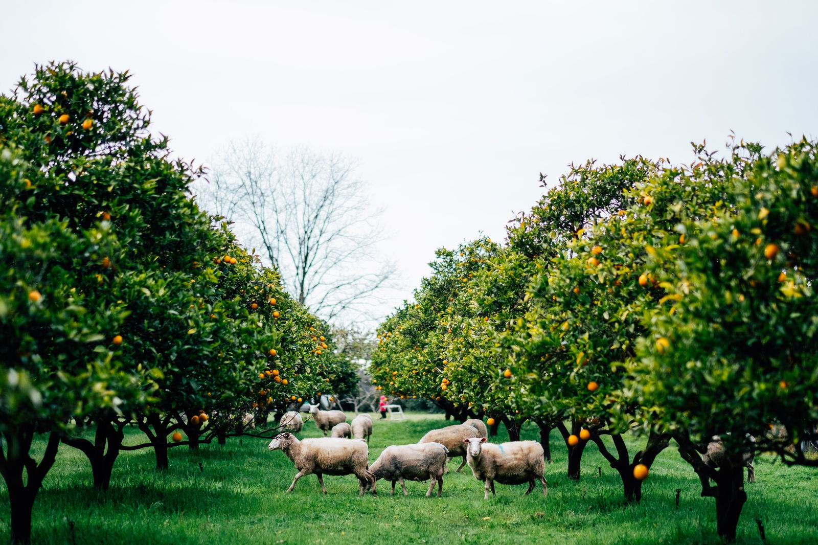 Jalbarragup WA Accommodation Fremantle