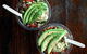 Acai Brothers - Manly - thumb 0