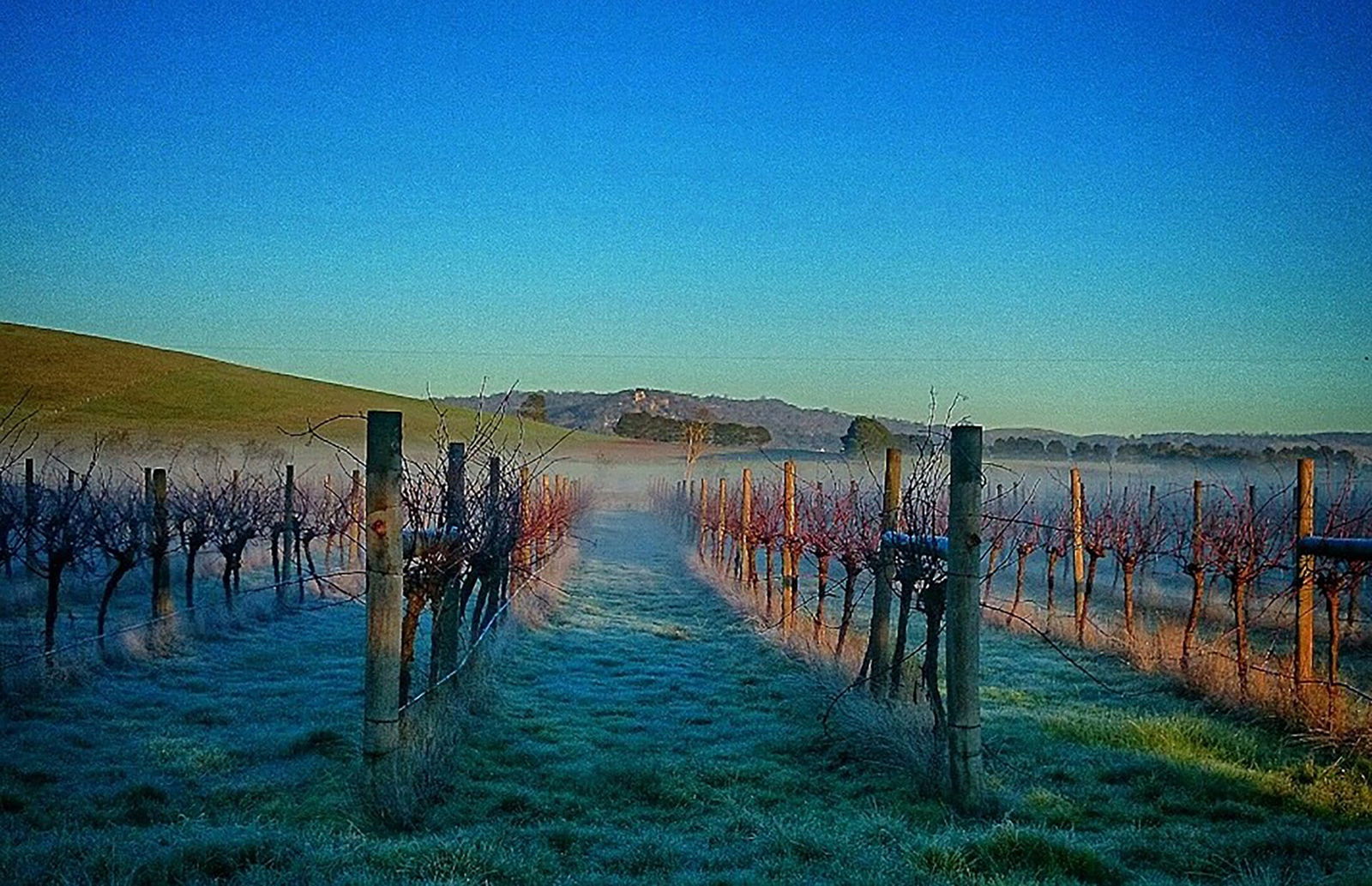 Glendonald VIC Accommodation Fremantle