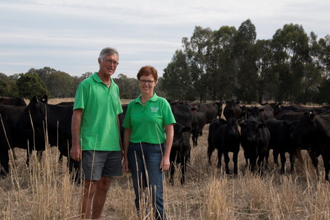 Milawa Organic Beef - Accommodation Fremantle 0