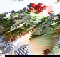 The Garden Tearooms  Cottage Nursery - Accommodation Fremantle