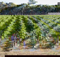 Weathercraft Wines - Accommodation Fremantle