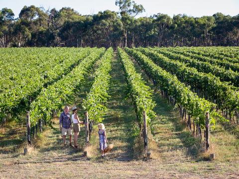 Weathercraft Wines - Accommodation Fremantle 0
