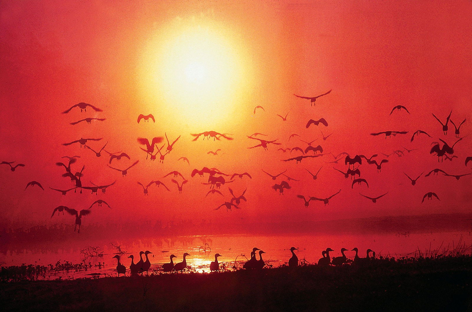 Gwabegar ACT Accommodation Fremantle