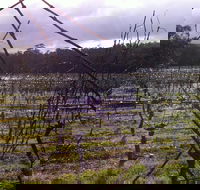 Darlington Vineyard - Accommodation Fremantle