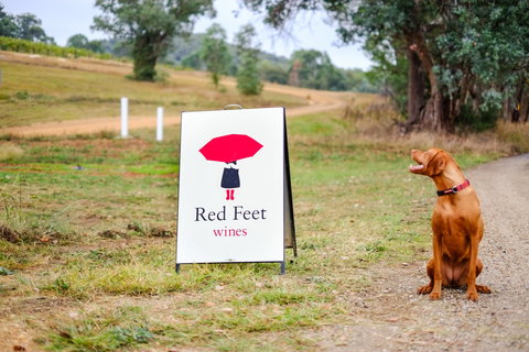 Red Feet Wines - Accommodation Fremantle 2