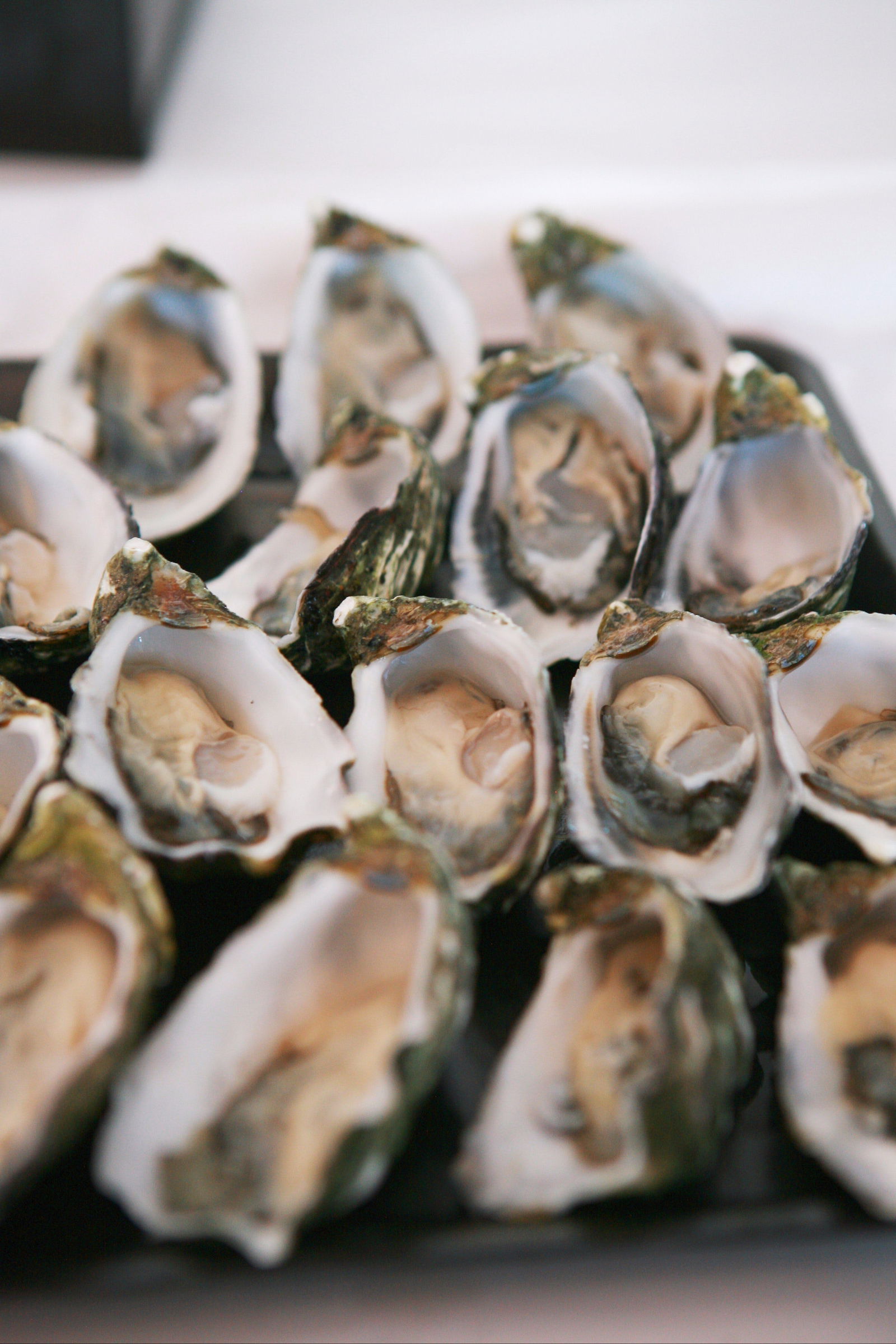 Telowie SA Accommodation Fremantle