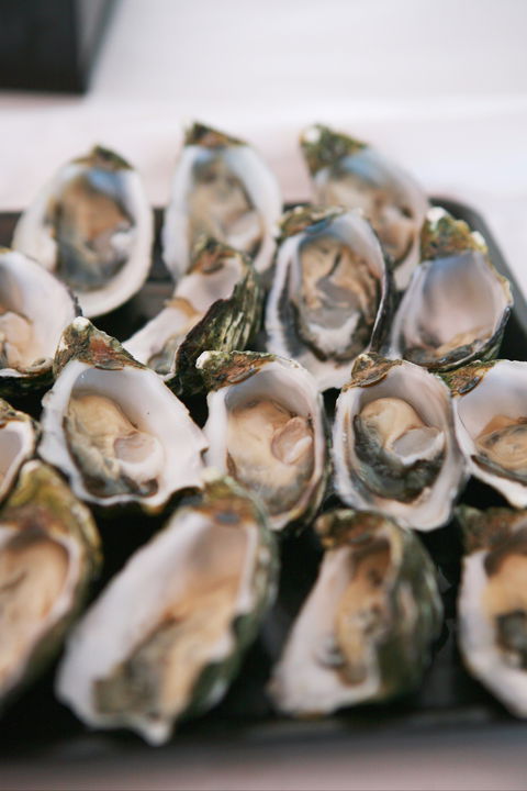 S.D. Caputo And Sons - Accommodation Fremantle 0