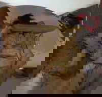 Tandoori Inn - Accommodation Fremantle