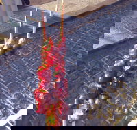 Harvest Coffee - Accommodation Fremantle