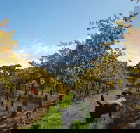 Ruddenklau Wines - Accommodation Fremantle