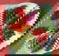 Olive Bus Clare - Accommodation Fremantle