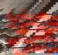 Curry on the Rocks - Accommodation Fremantle