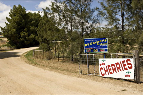 Willayoung Orchard - Accommodation Fremantle 1