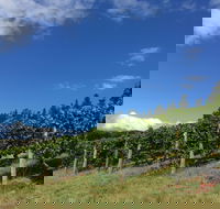 Freycinet Vineyard - Accommodation Fremantle